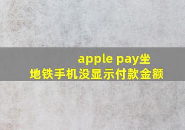 apple pay坐地铁手机没显示付款金额